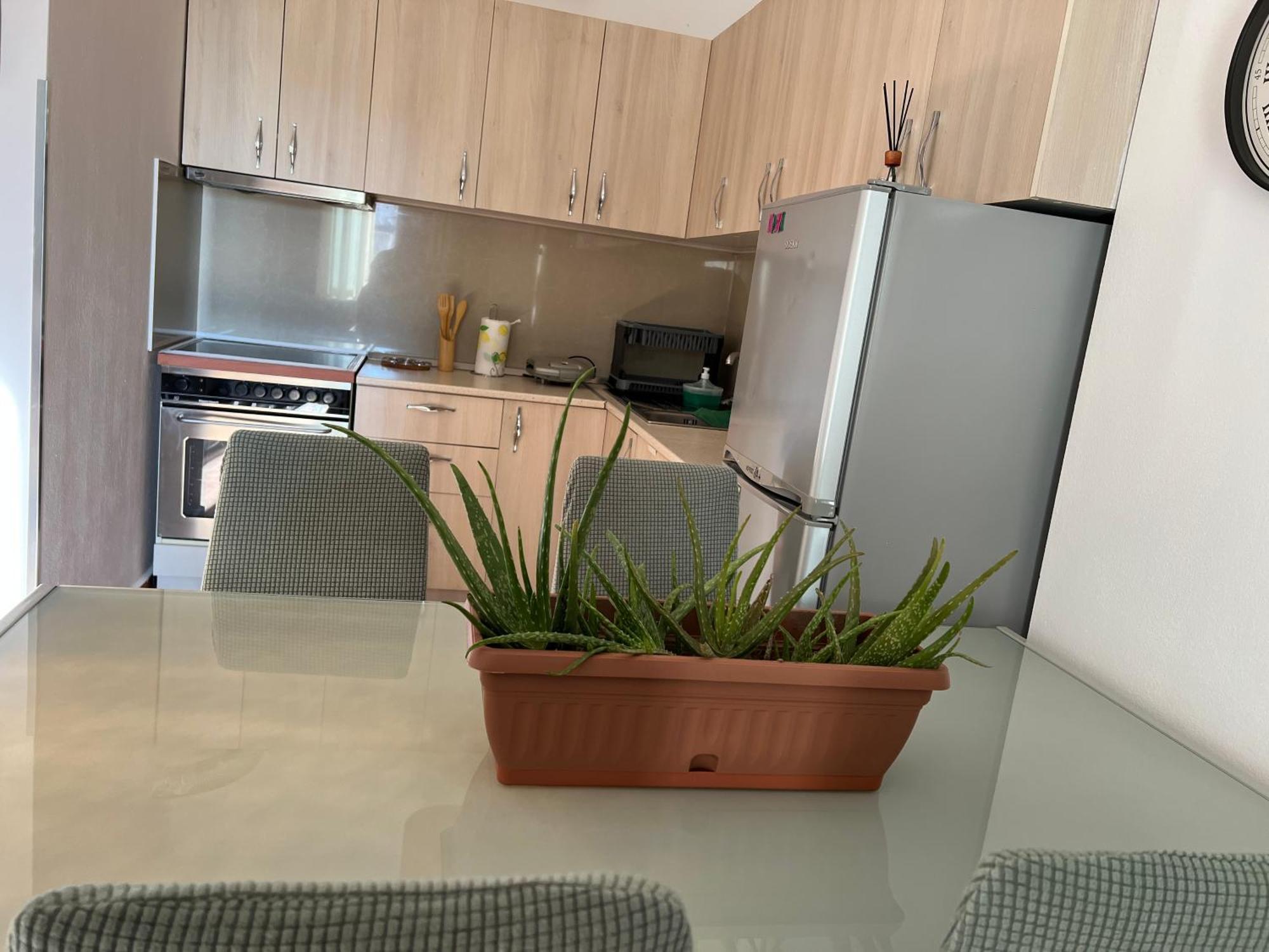 Appartamento Center